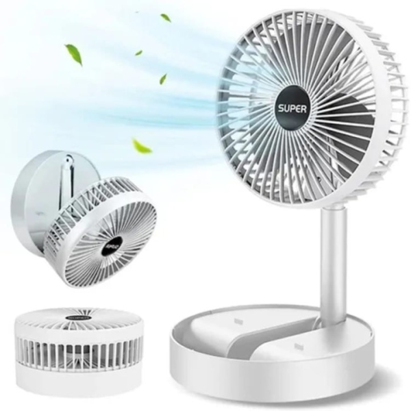 Folding Fan